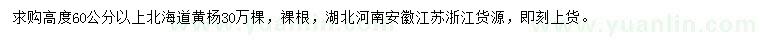 求购高度60公分以上北海道黄杨