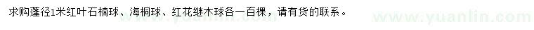 求购红叶石楠球、海桐球、红花继木球