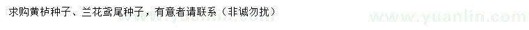 求购黄栌种子、兰花鸢尾种子