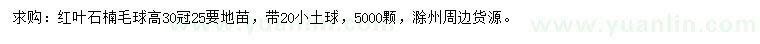 求购高30公分红叶石楠毛球