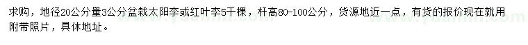 求购地径20公分量3公分太阳李或红叶李