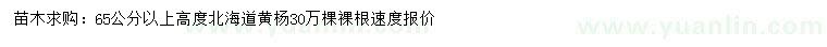 求购高度65公分以上北海道黄杨