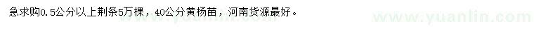 求购0.5公分以上荆条、40公分黄杨苗