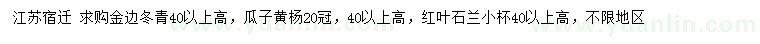 求购金边冬青、瓜子黄杨、红叶石兰