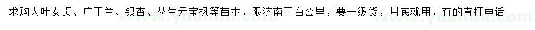 求购大叶女贞、广玉兰、银杏等