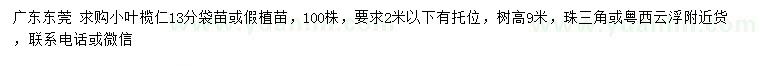 求购13公分小叶榄仁