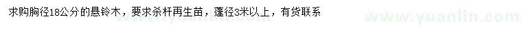 求购胸径18公分悬铃木