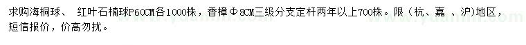 求购海桐球、 红叶石楠球、香樟