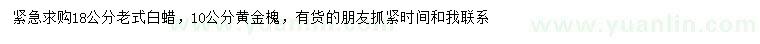 求购18公分老式白蜡、10公分黄金槐