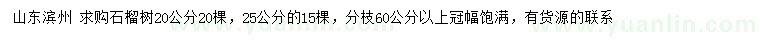 求购20、25公分石榴树