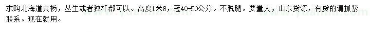 求购高1.8米北海道黄杨