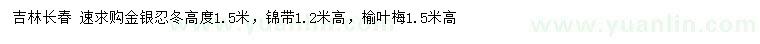 求购金银忍冬、锦带、榆叶梅