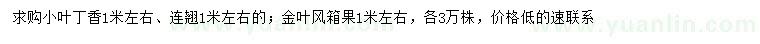 求购小叶丁香、连翘、金叶风箱果