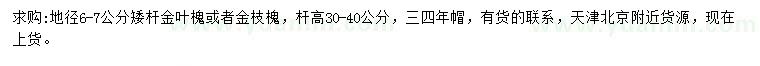 求购地径6-7公分矮杆金叶槐或者金枝槐