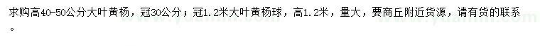 求购高40-50公分大叶黄杨、冠1.2米大叶黄杨球