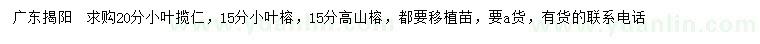 求购小叶揽仁、小叶榕、高山榕