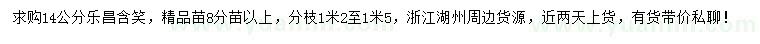 求购14公分乐昌含笑