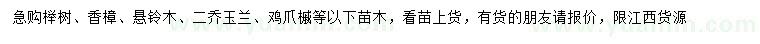 求购榉树、香樟、悬铃木、二乔玉兰等