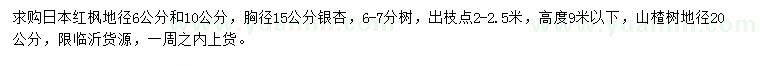 求购日本红枫、银杏、山楂树
