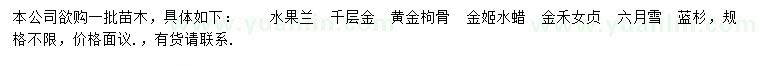 求购水果兰、千层金、黄金枸骨等