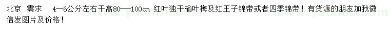 求购红叶独干榆叶梅、红王子锦带、四季锦带