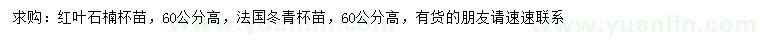 求购高60公分红叶石楠、法国冬青