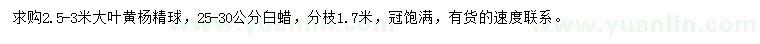 求购2.5-3米大叶黄杨精球、25-30公分白蜡