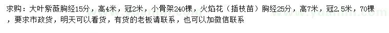 求购胸径15分大叶紫薇、25公分火焰花