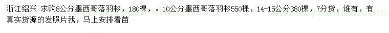 求购8、10、14-15公分墨西哥落羽杉