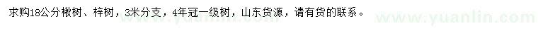 求购18公分楸树、梓树