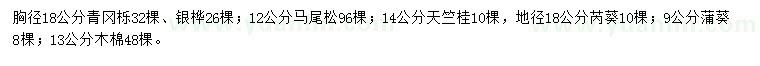 求购青冈栎、银桦、马尾松等