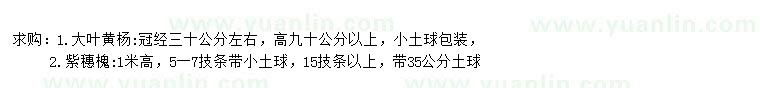 求购冠幅30公分左右大叶黄杨、高1米紫穗槐