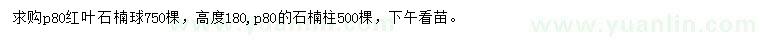 求购冠幅80公分红叶石楠球、石楠柱