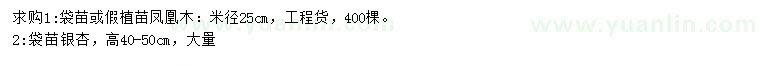 求购米径25公分凤凰木、高40-50公分银杏