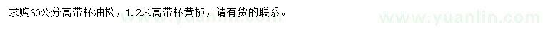 求购高60公分油松、1.2米黄栌