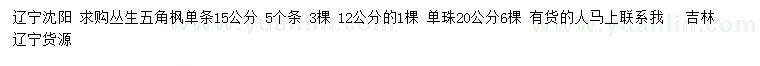 求购12、15、20公分丛生五角枫