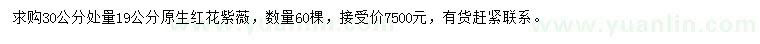 求购30公分处量19公分原生红花紫薇