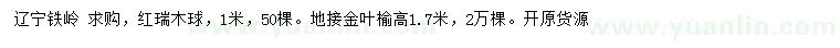 求购1米红瑞木球、高1.7米地接金叶榆