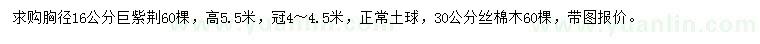 求购胸径16公分巨紫荆、30公分丝棉木