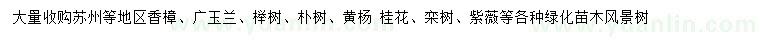 求购香樟、广玉兰、榉树等