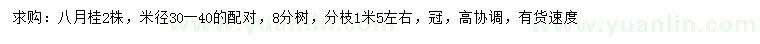 求购米径30-40公分八月桂