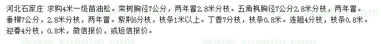 求购油松、栾树、五角枫等