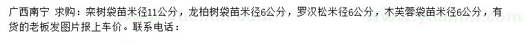 求购栾树、龙柏、罗汉松等