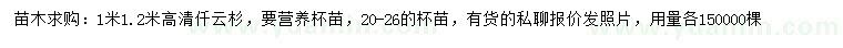 求购高1、1.2米青青扦云杉，要营养杯苗