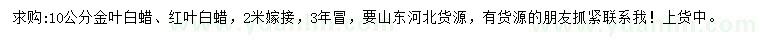 求购10公分金叶白蜡、红叶白蜡