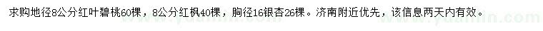 求购红叶碧桃、红枫、银杏