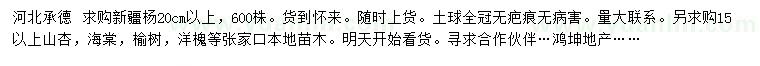 求购新疆杨、山杏、海棠等