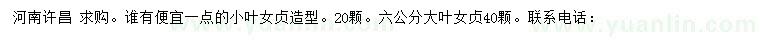 求购小叶女贞造型、6公分大叶女贞