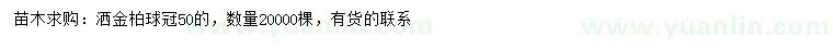 求购冠50公分洒金柏球