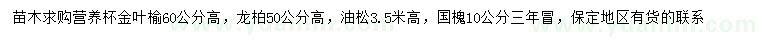 求购金叶榆、龙柏、油松等